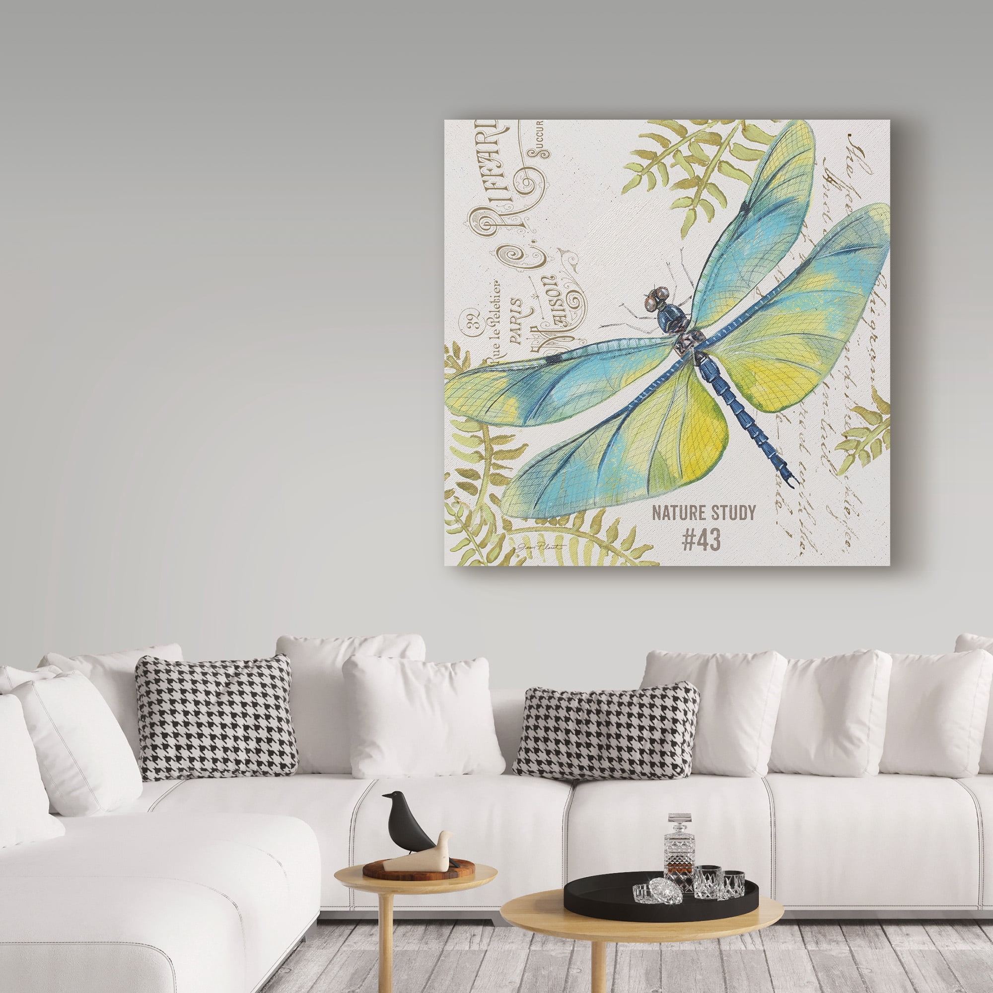 Trademark Fine Art 'Botanical Dragonfly 3' Canvas Art by Jean Plout