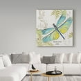 thumbnail image 3 of Trademark Fine Art 'Botanical Dragonfly 3' Canvas Art by Jean Plout, 3 of 3