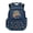 Star Dinosaur Blue, variant on Cartoon Cat Pink Print 17 Inch Schoolbag Spacious Kids Backpack with Multi-Pockets Primary School Bookbag Travel Backpacks for Elementary Student Girls Rucksack