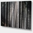 thumbnail image 2 of Sunbeams Regardant à Travers une Forêt Sombre - Impression sur Toile de Forêt, 2 of 3