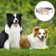 thumbnail image 3 of Correa doble para perros, cierre en oro rosa, 3 of 5