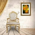 thumbnail image 3 of Jaynes Gallery 13x18 Gold Ornate Wood Framed with Double Matting Museum Art Print Titled - USA-Colorado-Fort Collins Yellow coreopsis flowers, 3 of 4