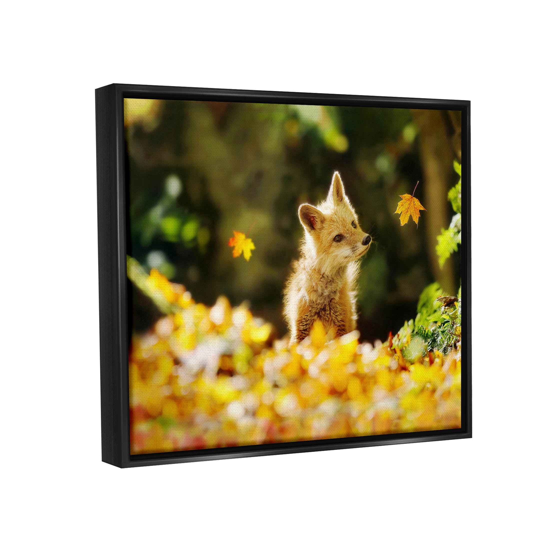 Stupell Industries Fox Watching Autumn Leaves Photograph Jet Black Floating Framed Canvas Print Wall Art, Design by Carrie Ann Grippo-Pike