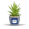 thumbnail image 1 of Saplings Cute Small TV Face Original Fake Pineapple Flower Pot Vase Mini Decor, 1 of 3