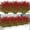 Red, variant on Scidweet Fall Artificial Plants Outdoor, 16 Bundles Autumn Fake Faux Grass Plastic Plants Fall Decorations for Patio Garden Porch Yard Home Fall Decor, Red