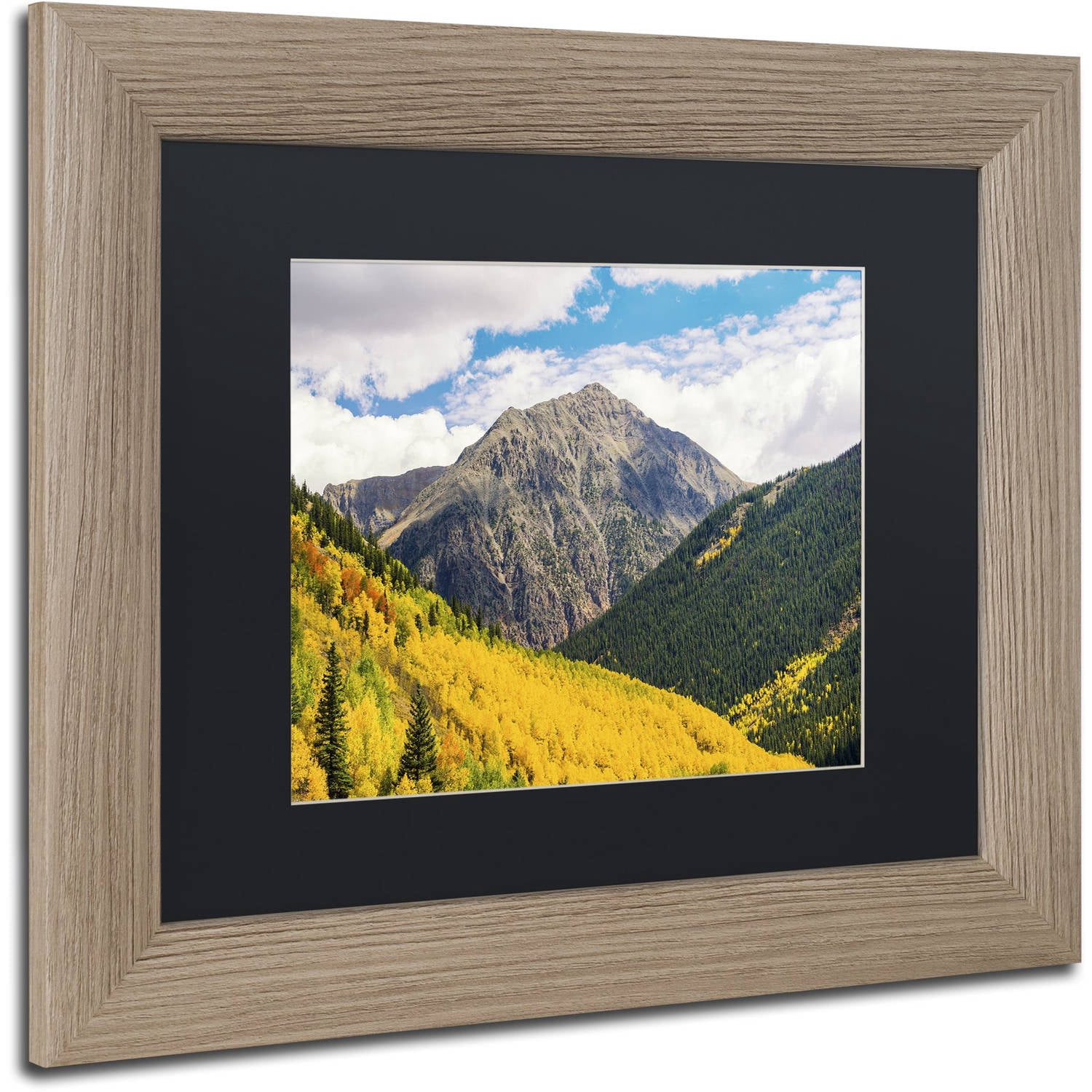 Trademark Fine Art "Aspen Slope" Canvas Art by Michael Blanchette Photography Black Matte, Birch Frame