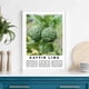 thumbnail image 3 of Cartel promocional de comida de fruta vintage: lima kaffir, fruta del pan, níspero, manzana, ciruela, albaricoque, limón, higo, melocotón, nectarina, 3 of 5