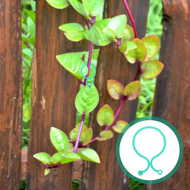 Hytrove 120Ud Clips De Sujeción Para Plantas De Jardín Clips Versátiles Para Y Plantas Trepadoras