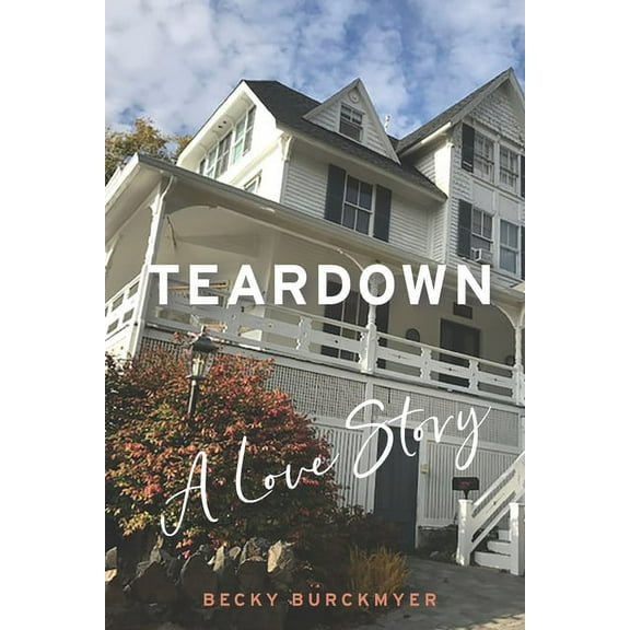 Teardown: A Love Story, (Paperback)