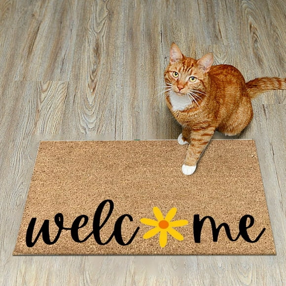 Oliegs Heated Blanket Coir Door Mat For Front Door Welcome Outdoor Mats Funny Doormats With Non (1 PC) Chocolate