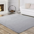 thumbnail image 1 of ZACOO 4' x 6' Rectangular Fluffy Rugs Carpets No-Slip Non-Shedding Furry Bedside Carpet for Living Room Bedroom Home Decor, Light Gray, 1 of 7