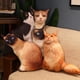 thumbnail image 4 of Cojín de gato de la vida Real, almohada de felpa de gato vivo, Animal de peluche simulado, juguete de felpa, dormitorio, sofá, decoración, 50CM, 4 of 5
