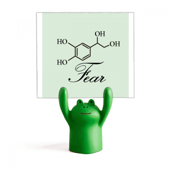 Estructura química del miedo Estante de notas, estante de ranas de animales de dibujos animados