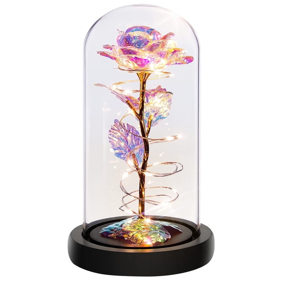 Regala una rosa con forma de arcoíris en forma de cúpula de cristal para mamá