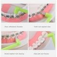 thumbnail image 3 of 4 Pieces Toothbrush Small Head End Tuft Toothbrush Orthodontic Soft Trim Wisdom, 3 of 9