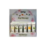 Lip Therapy - Assorted Flavors Case Pack 288