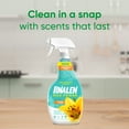 thumbnail image 5 of Pinalen Max Power Multipurpose Spray Cleaner - Summer Fresh Scent (22 fl oz), 5 of 9