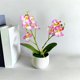 thumbnail image 4 of Gwong Decoración hogareña 1 Set Fake Flowe Eco-Friendly Fácil de limpiar Simulación de tela Plantas en maceta para el hogar Gwong 21061383, 4 of 6