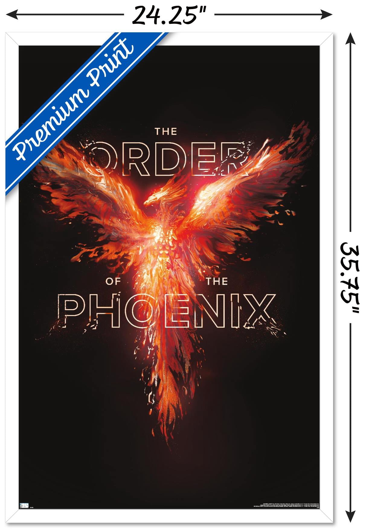 Harry Potter - Order of the Phoenix Magic Wall Poster, 22.375" x 34" Framed