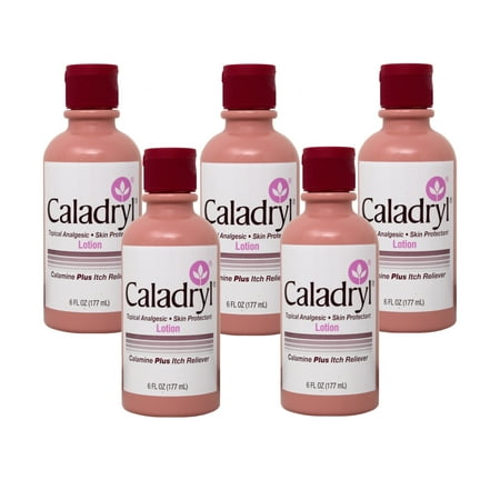 (5 pack) Calamine Lotion by Caladryl, Skin Protectant plus Itch Relief, 6 Fl Oz