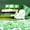 Green, variant on Tuscom St. Patrick's Day Plastic Gold Coins & Green Party Game Props Supplies, 50-Piece Bulk Set for Treasure Hunts, Irish Theme Decorations, Tenns Adults Party Favors and Festive Activities