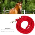thumbnail image 4 of Horse Training Rope, Durable Horse Lunge Line High Tensile 6.6ft  for Training Red, 4 of 7