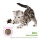 thumbnail image 4 of Juguete de bolas de hierba gatera de plástico para gatos Suministros para mascotas con forma de cabeza de perro reemplazable (rosa), 4 of 6