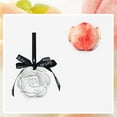 thumbnail image 4 of Hanging Ornament for Oils – Aromatherapy Diffuser Stone Non Diffusers Ideal Car Bathroom and Desk for Relaxation and Ambient Fragrance, 4 of 5