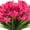 Red, variant on MAMOWEAR Artificial Flowers for Outdoor, Fake Flowers UV Resistant, Faux Daffodils Flower for Spring Summer Outside Planter Window Box Decoration