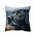 thumbnail image 2 of Throw Pillow Covers 18x18 Inch, Decorative Square Pillowcases, Farmhouse Holiday Cushion Covers for Couch Sofa Living Room Bedroom Outdoor Home Decor, 2 of 8