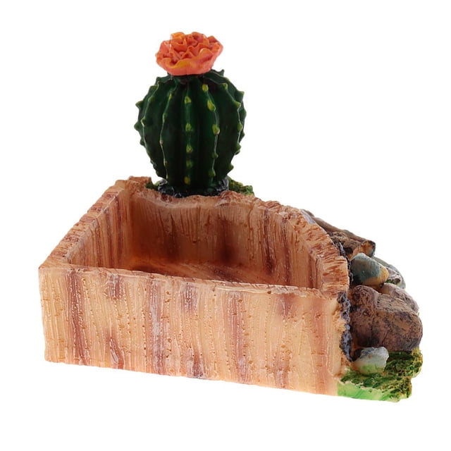 Alimentador Del Del Tazón de Fuente Del Del de Alimentación Anfibios de de - Triángulo - Triángulo Colco Plato de agua de comida de reptil