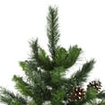 thumbnail image 2 of Northlight Full Snowy Delta Pine with Pine Cones Artificial Christmas Tree - 6.5' - Unlit, 2 of 5