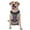 With Accessories, variant on Vsdgher Rainbow Animal Skin Pattern Dog Harness,No Pull Pet Harness with Soft Padded Handle,Adjustable Reflective Vest with 2 Buckles,4 Slide Buckles,S-XL Large