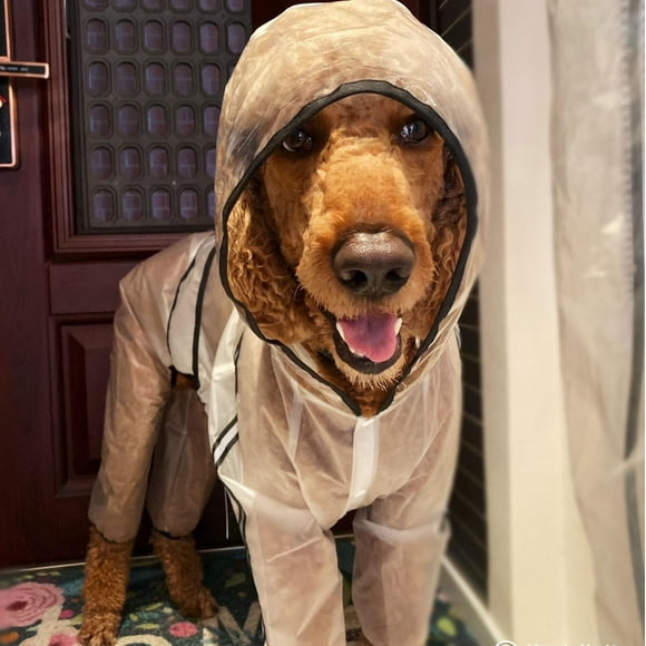 Lishi Waterproof Dog Hooded Poncho