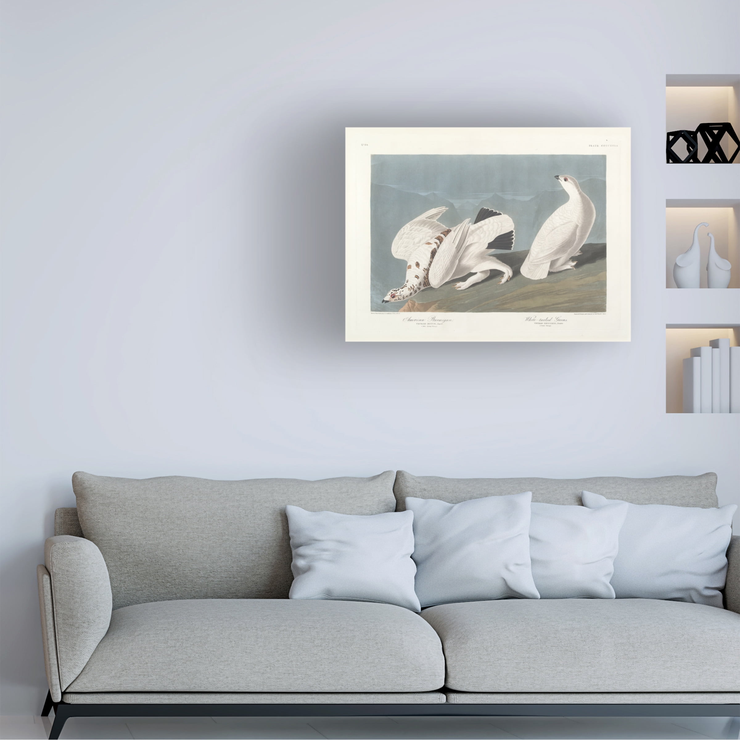 Trademark Fine Art "American Ptarmigan" Canvas Art by John James Audubon