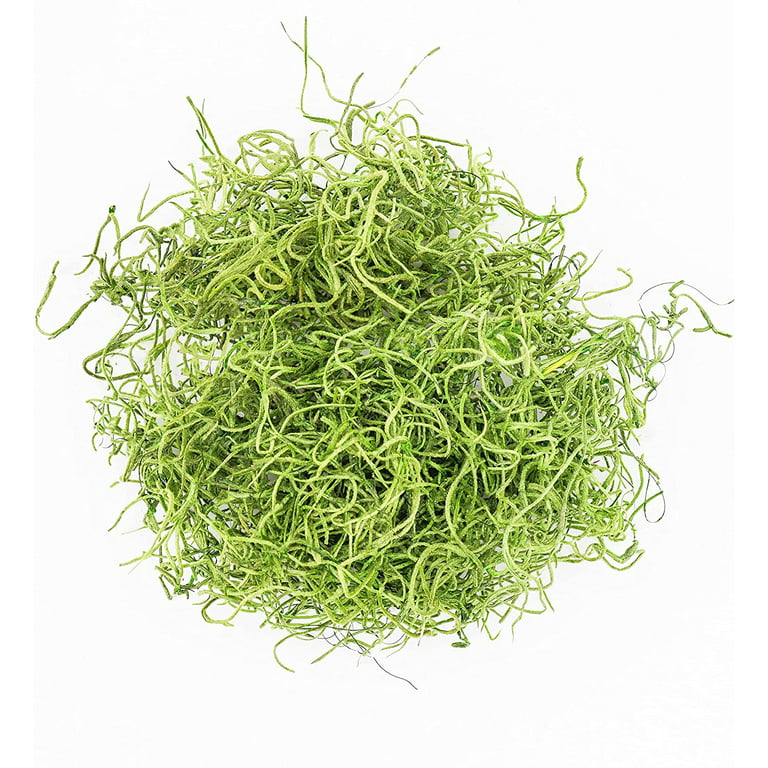 NW Wholesaler, 2 oz bag of Light Green Spanish Moss For Floral Design,  Terrariums, Fairy Gardens, Arts and Crafts 