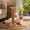 A, variant on Sisal Cat Scratching Stand, Wood Brown Sisal Rope Post with Hanging Toy Ball, Cage or Enclosure Use for Claw Care, Scratching, Stretching and Rest