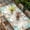 Brown Green, variant on Beige Coastal Table Cloths for 4 Foot Rectangle Tables, Summer Nautical Beach Coral Starfish Patio Waterproof Elastic Fitted Tablecloths, Washable Rectangular Table Cover for Camping