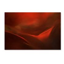Heidi Westum 'The Red Valley' Canvas Art