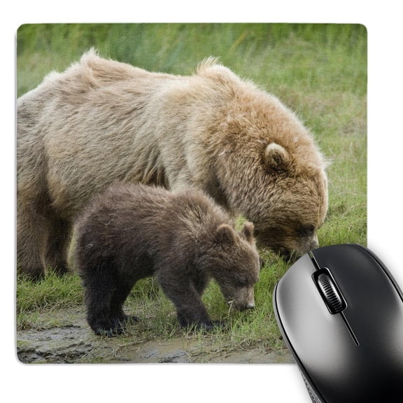 3dRose, Alaska, Lake Clark National Park, Grizzly bears - US02 BTH0014 - Brenda Tharp, MousePad