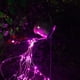 thumbnail image 4 of Xihbxyly Lámpara de Jardín con Forma de Estrella, Diseño de Regadera Solar, Led Blanco Cálido, Cable de Cobre, Decoración de Jardín Exterior, Ambiente Mágico para Una Noche, Soporte de 80 Cm, Incluye, 4 of 6