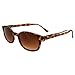 thumbnail image 3 of KD's Pacific Coast Sunglasses Tortoise/Brown Gradiantent, (200), 3 of 4