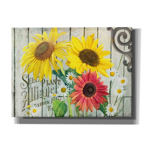 Epic Graffiti 'Farm Seed Sunflowers' by Art Licensing Studio Canvas Wall Art, 54" x 40"