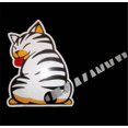 thumbnail image 3 of Car Auto Body Sticker Funny Cat Tail Rear Windshield Window Wiper Self-Adhesive Side Truck Vinyl Graphics Decals, 3 of 5