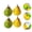 Assorted Color, variant on Zcyifa fake pear 6Pcs Pear Models Lifelike Simulation Pear Decors Artificial Pear Household Fruit Models for Shop