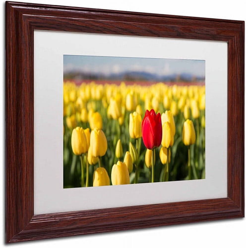 Trademark Fine Art "Red Tulip" Canvas Art by Pierre Leclerc, White Matte/Wood Frame