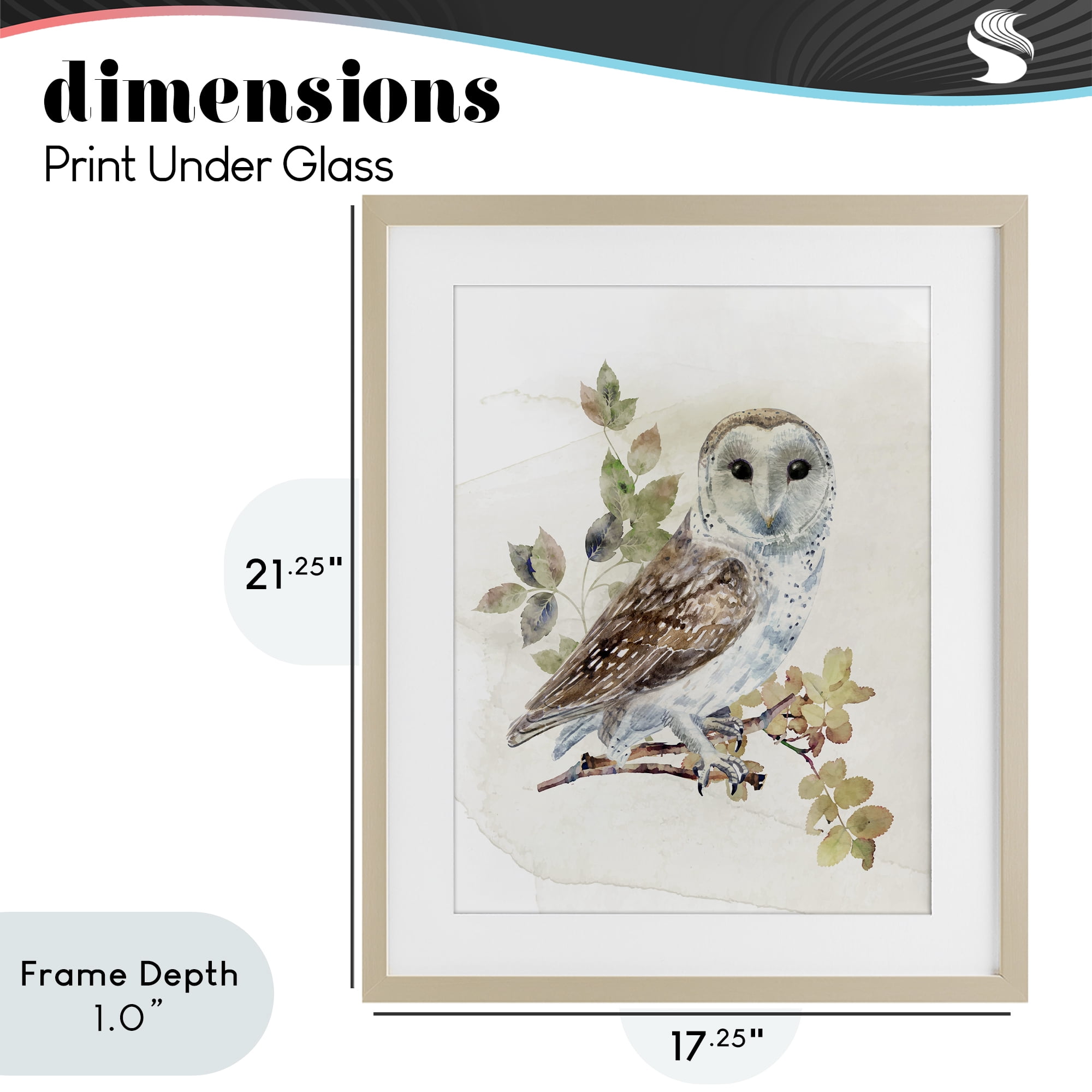 Stupell Industries Owl Among Autumn Leaves Birch Framed Print Under Glass, design by CAD Designs