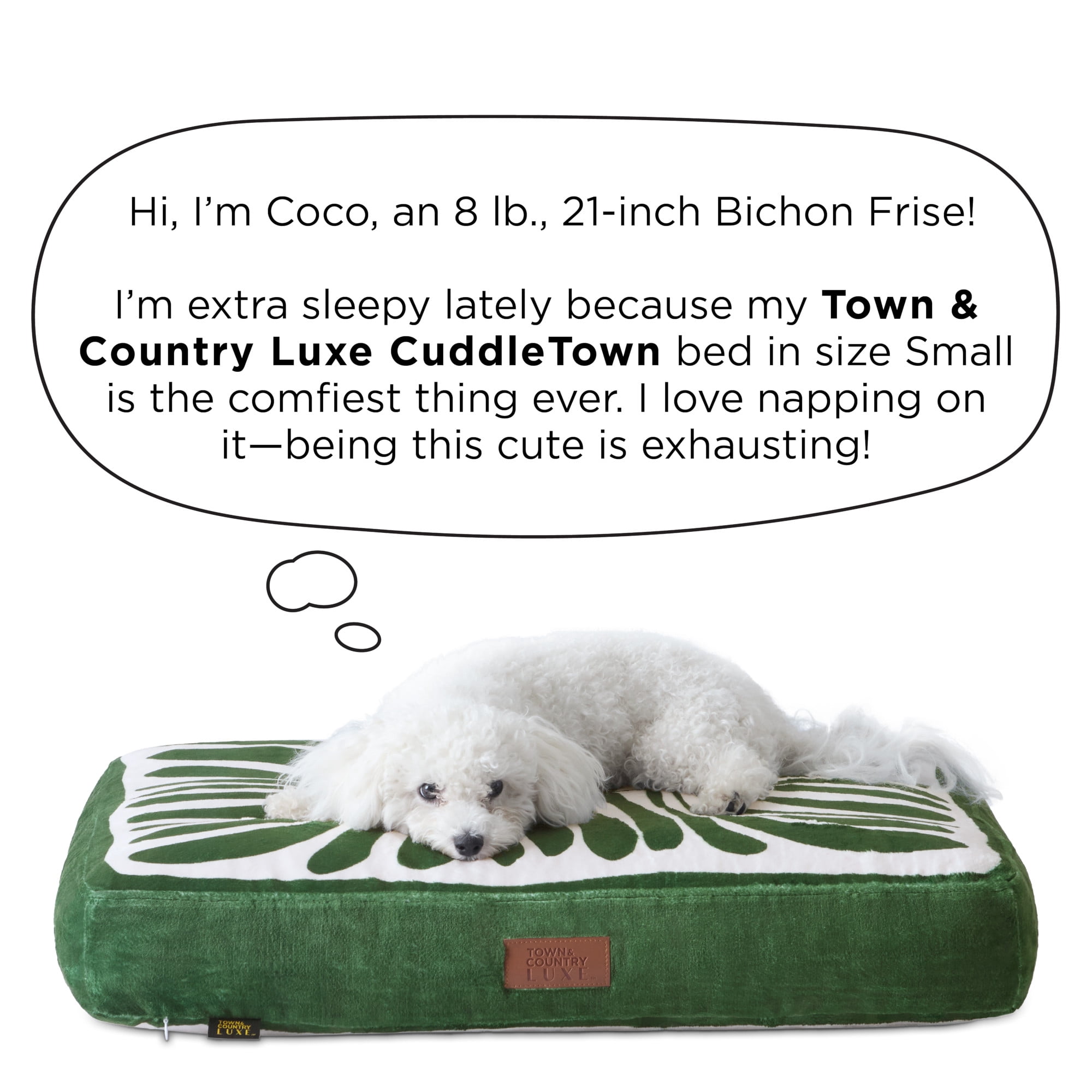 TOWN & COUNTRY LUXE CuddleTown Matisse Everwash® Pillow Pet Bed, Water Repellent Floor Pillow, Machine Washable Cover, Soft & Calming, Green, Small 28"x22"x4"