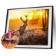thumbnail image 1 of Cuadros Decorativos 5D DIY diamante pintura puesta de sol ciervo completo redondo taladro mosaico strass imagen Ehuebsd Nuevos Originales, 1 of 9