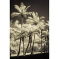 thumbnail image 3 of Poinski, Dianne 11x14 Black Modern Framed Museum Art Print Titled - White Palms 2, 3 of 5